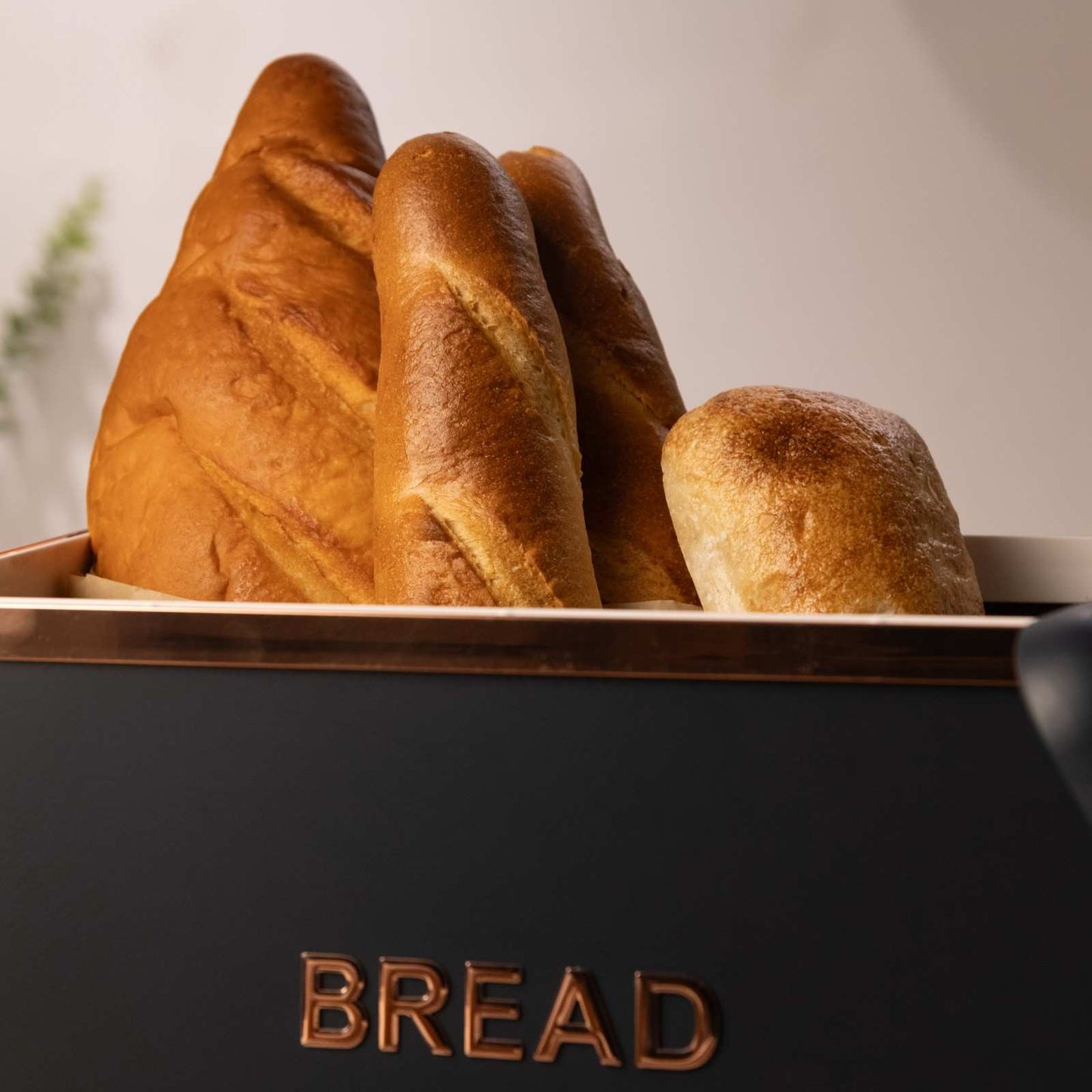 The Pantry Luxe Set