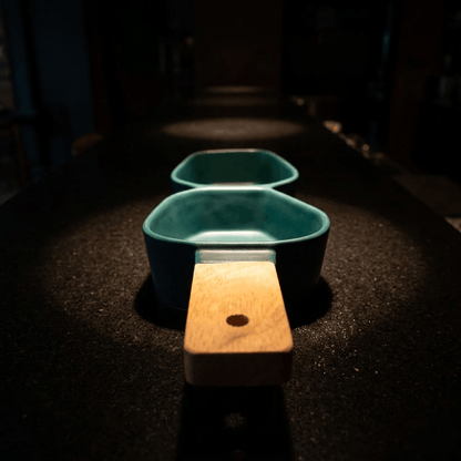 Two-Section Platter with Wooden Handle - Green
