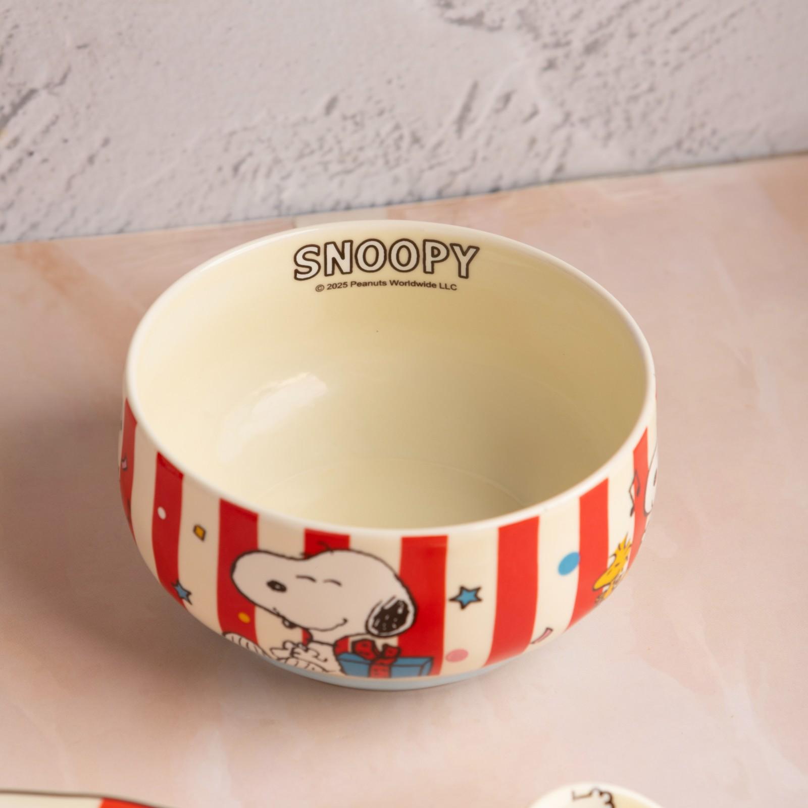 Snoopy Retro Stripe Dinner Set